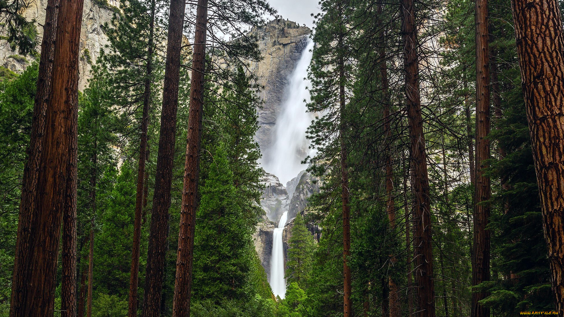 yosemite national park, sierra nevada, , , yosemite, national, park, sierra, nevada